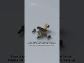 LEGO Military Helicopter Compilation 1 | Lego MOC | Lego DIY