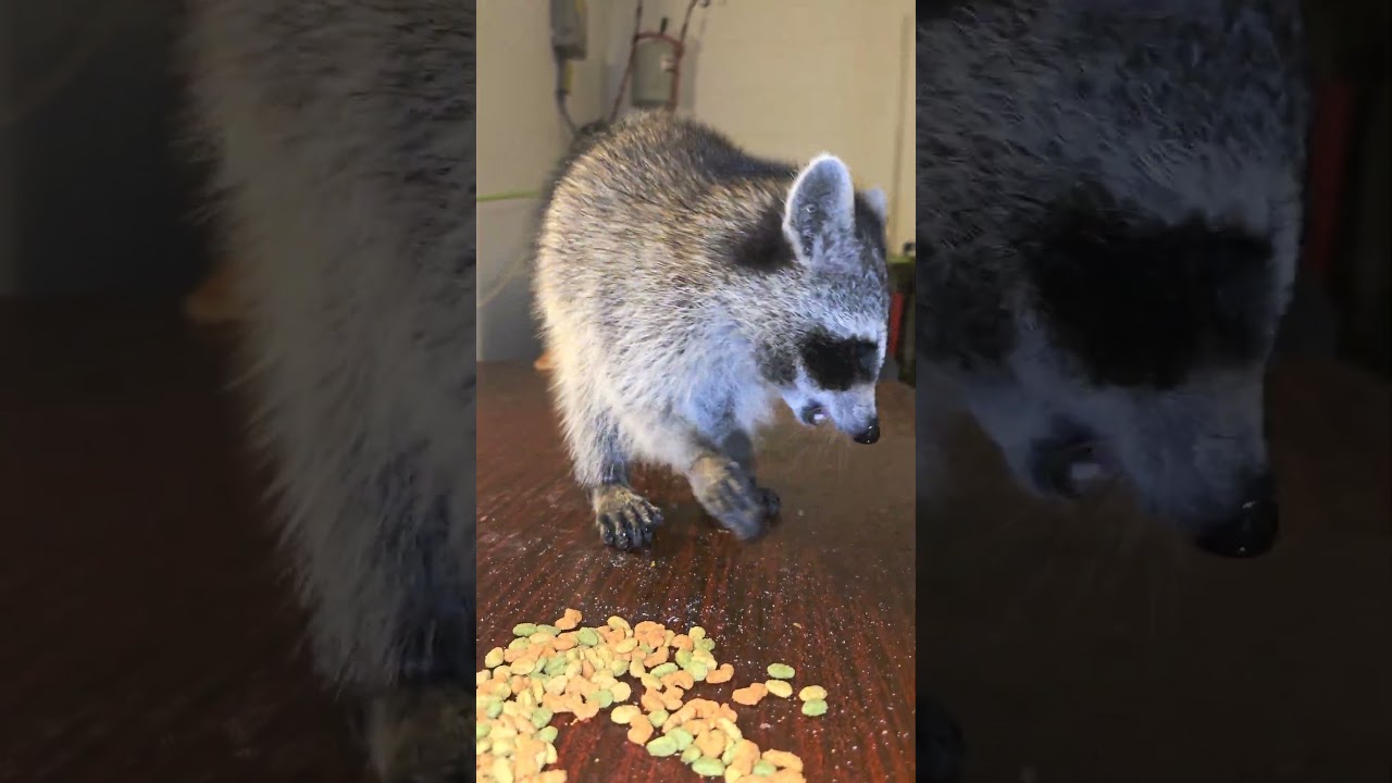 Thx Local Cannabis Dispensary For Donation