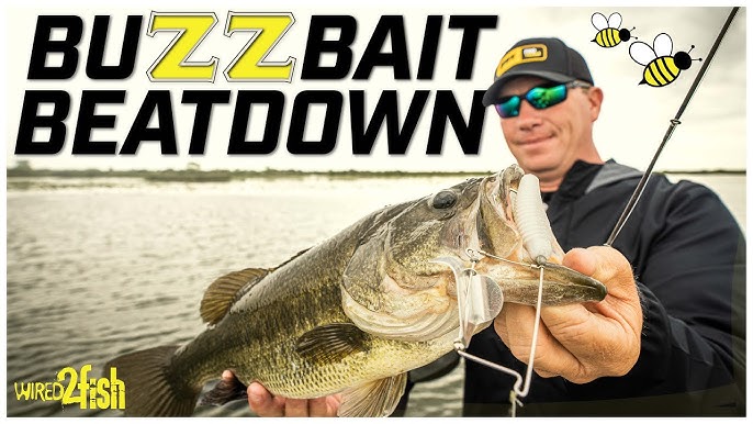 Why Did People Stop Throwing BUZZBAITS? (Buzzbaits For BASS) 