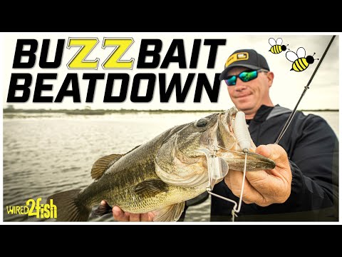 Catch More Fish with Buzzbaits  Expert Tips and Tricks 