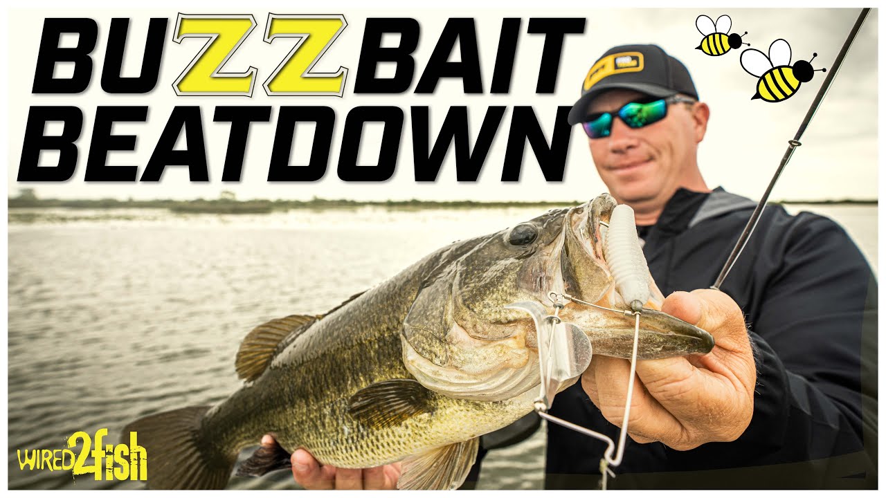 Catch More Fish with Buzzbaits  Expert Tips and Tricks 