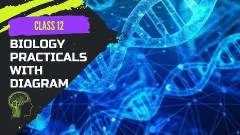 Class 12 Biology Practicals with Diagram And Readings | Latest Syllabus | Biology Practical | ANKUSH