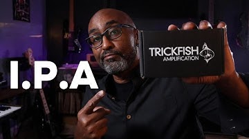 Is the Trickfish IPA the Cleanest Onboard Bass Preamp? Real Test