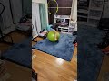 バランスボール×アクロバット(可愛くてごめん🎵リズムに合わせて)兄達に追い付け🔥追い越せ💪妹の練習シーン #Gボール #体幹トレーニング
