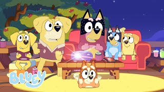 Ningún Intento El Decisor Bluey Español C Oficial