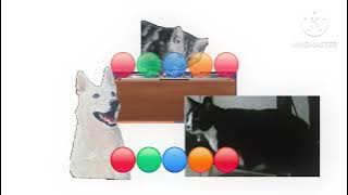 F&N Carbonated Drink & OYOSHI TVC (2025)