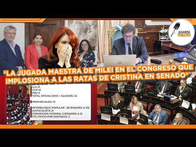 REVELAN JUGADA MAESTRA DE MILEI QUE IMPLOSIONA A LAS RATAS DE CRISTINA EN EL SENADO: "DOS TERCIOS"