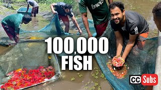 Catching 100,000 Glo Fish | Pet Talk