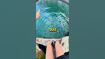 Can You Beat The World