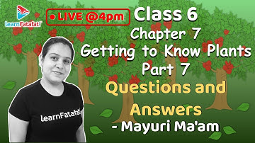Class 6 Getting to Know Plants? Part 7: Questions and Answers - Mayuri Ma