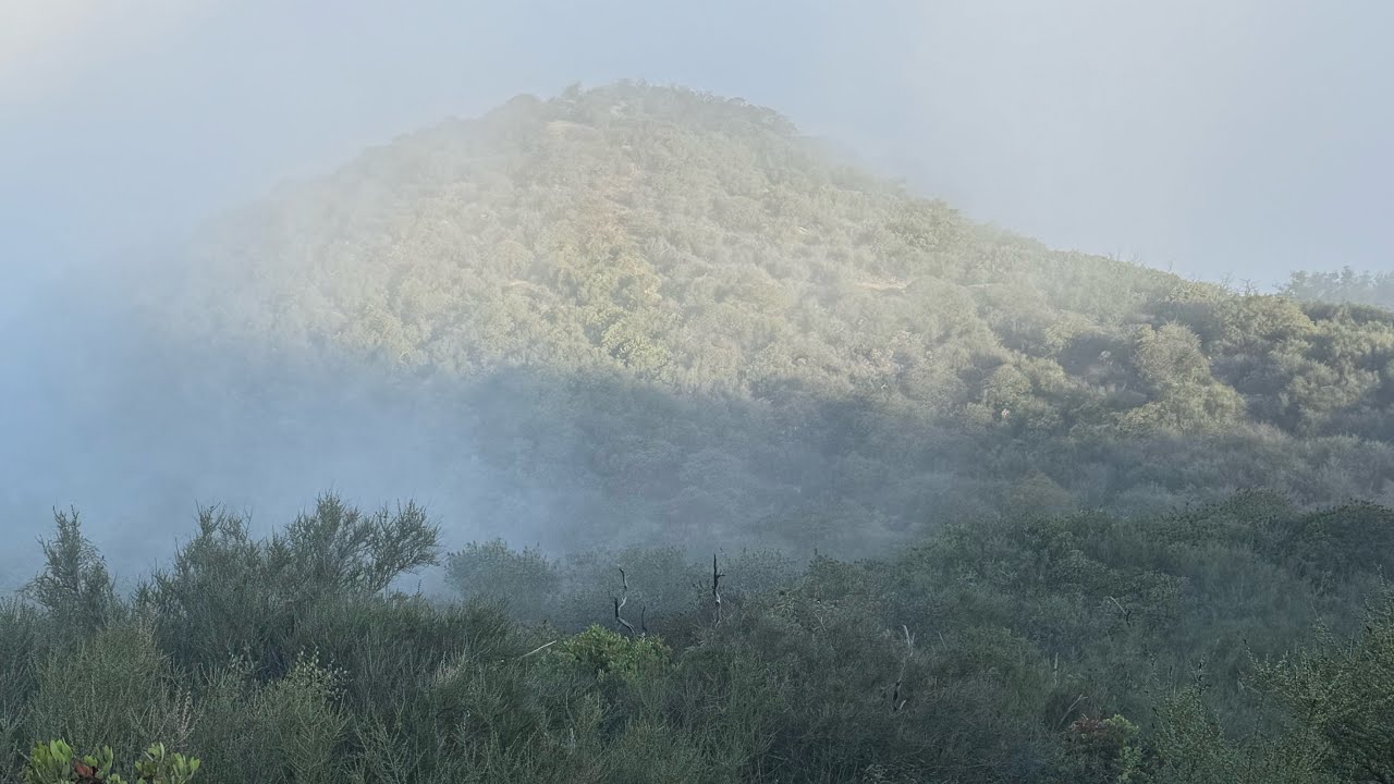 Wisdom Tree, Cahuenga Peak, and Mount Lee Summit Loop