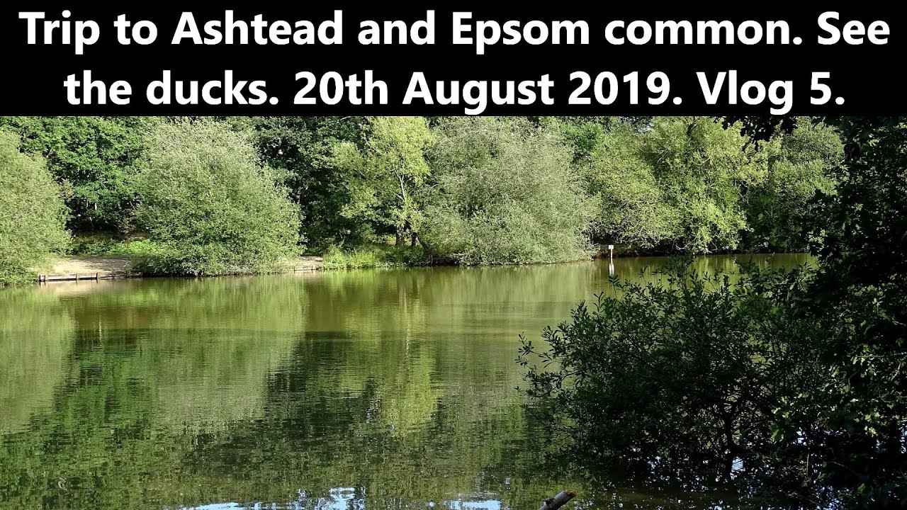Trip To Ashtead And Epsom Common See The Ducks 20th August 2019 Vlog 5 YouTube
