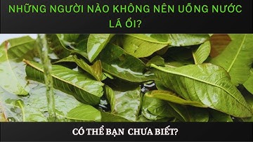 Những người nào không nên uống nước lá ổi?