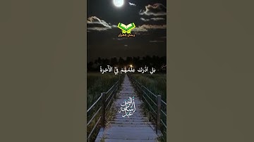 آيات من سورة النمل |أسامه عبدالرحمن #quran #اكسبلور #قرآن #راحة_نفسية #أسامه #سورة_النمل