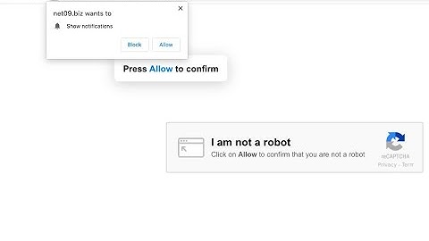 Net09.biz push notifications - how to remove?