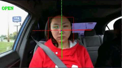 Driver Alertness Monitoring - DROWSY