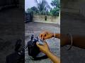 Dji drone 💖 #remotecontrol #remoteview #djimini3 #shorts #trending #ytshorts #viral