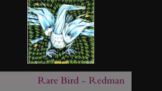 Video thumbnail of "Rare Bird - Redman (lyrics + remastered)"
