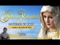 Santo Rosario en Audio l 01 Junio de 2026 l Misterios de Gozo l Amen Comunicaciones