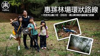 惠蓀林場最強環型步道路線攻略：山嵐小徑、巨松臺、湯公碑一次滿足！魔幻森林與藍腹鷴驚喜現身｜山林系列｜探路者
