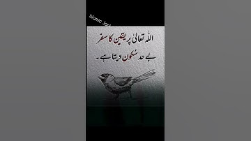 Islamic story || Islamic background music ||non copyright Islamic music #viral