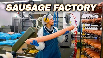 How Sausage Is Made - Sausage Production Line | Meat Factory