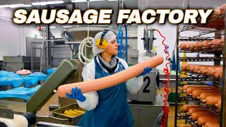 How Sausage Is Made  Sausage Production Line | Meat Factory