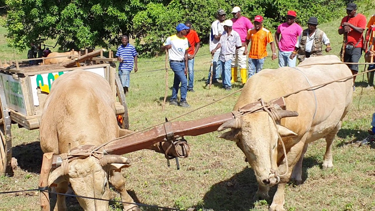 Modette abc novembre 2019(4)