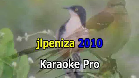 Pedro Infante - La Calandria (Karaoke).wmv