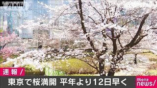 東京の桜が満開　開花から約1週間　気象庁(20/03/22)