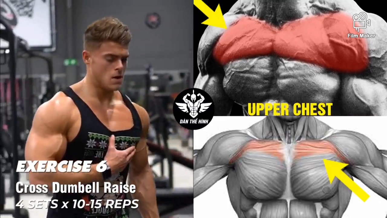 8 CHEST EXERCISES 💪🏻 GYM MOTIVATION YouTube