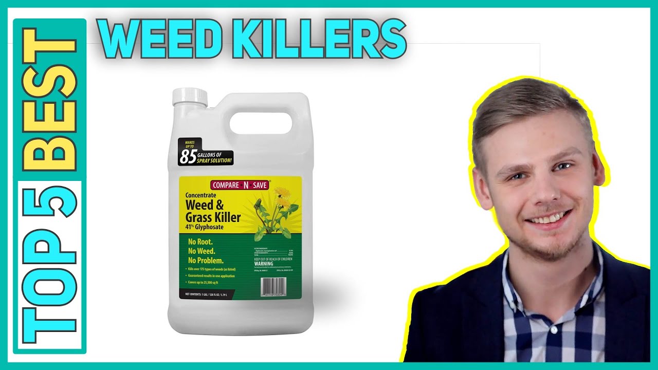 Best Weed Killers in 2023 [Top 5 Best Weed Killers]