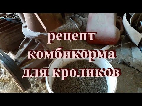 Корма для кроликов своими руками состав