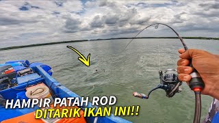 Download Lagu Macam NAK PATAH Rod Mancing Ditarik Ikan Ini!! MP3 Download Lagu Macam NAK PATAH Rod Mancing Ditarik Ikan Ini!! MP3