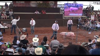 Programa Especial: Expo Ganadera Tepatitlán.