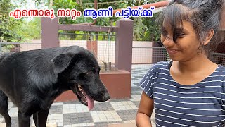 🥵പട്ടിക്കുട്ടിക്ക് ഭയങ്കര സ്മെൽ : Dog smell reason and solutions