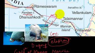 Why There Is Conflict In Palk Strait And Gulf Of Mannar ?- Upsc -Pt- 11Th October 2017