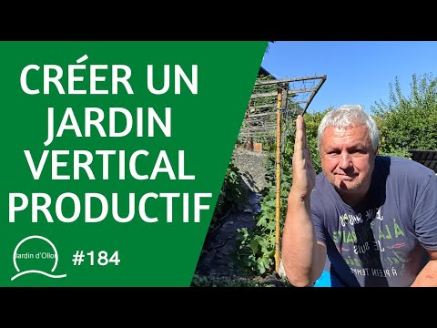 Vidéo: Jardin vertical de patates douces – Planter une vigne de patates douces en treillis