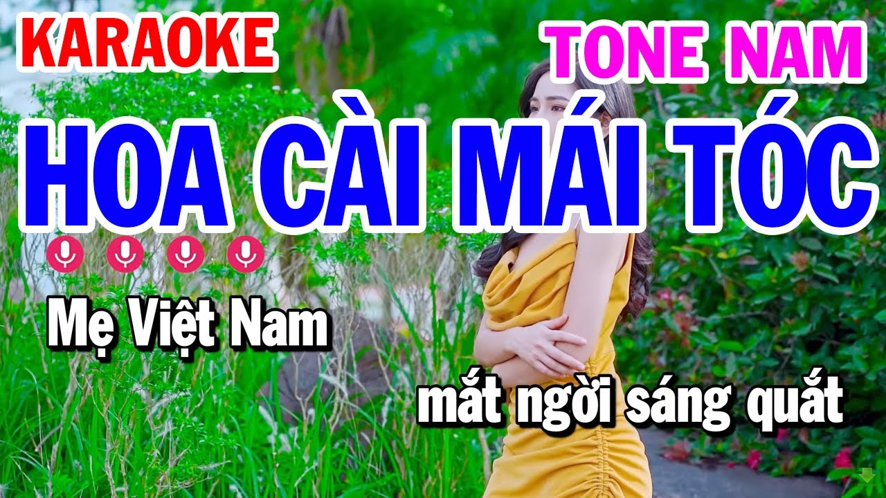 Bài hát karaoke hoa cài mái tóc beat chuẩn  YouTube