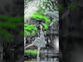 Trending nagpuri photo editing #shots #vrlyvideo #Lightroom