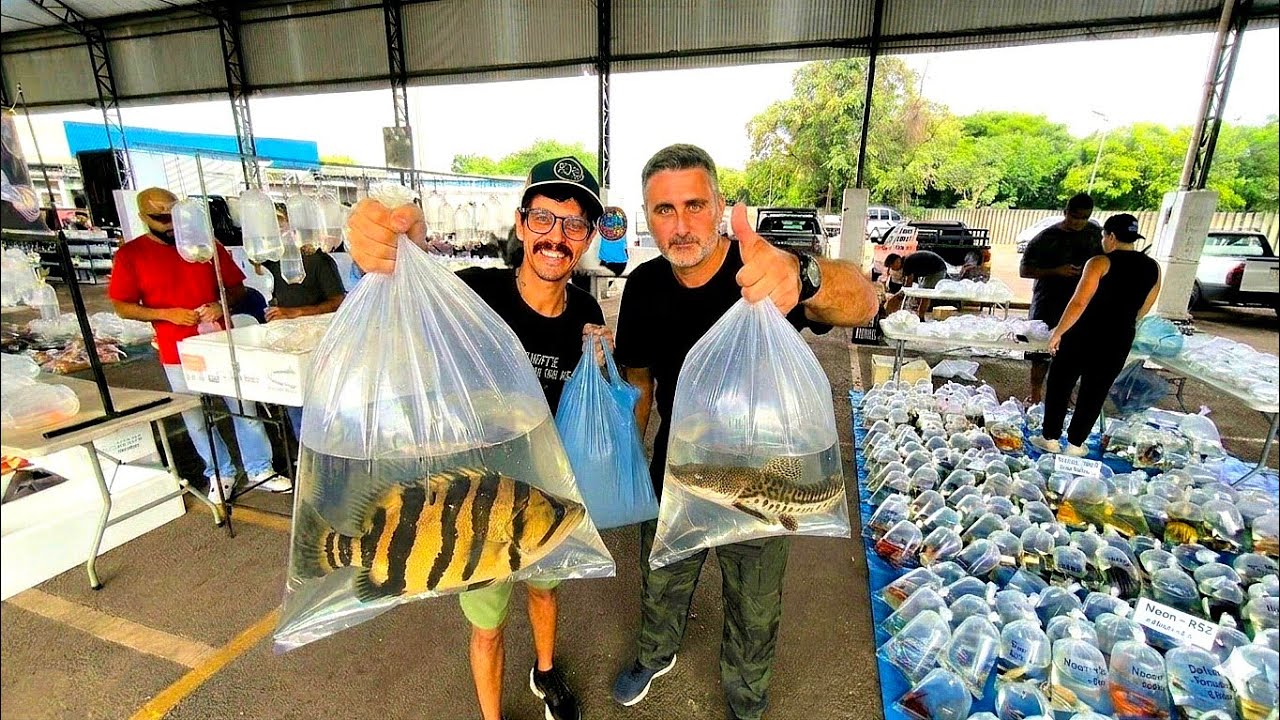 FUI NA FEIRA DE PEIXES COM MEU AMIGO COMPRAR PEIXES MONSTROS e RAROS
