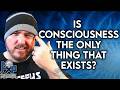 Is Consciousness the Only Thing That Exists?