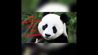 КАК ПОДГОТОВИТЬ АКВАРИУМНЫЙ ПЕСОК ИЗ СТРОИТЕЛЬНОГО !!! (речного) КАК ПОДГОТОВИТЬ АКВАРИУМНЫЙ ПЕСОК ИЗ СТРОИТЕЛЬНОГО !!! (речного)
