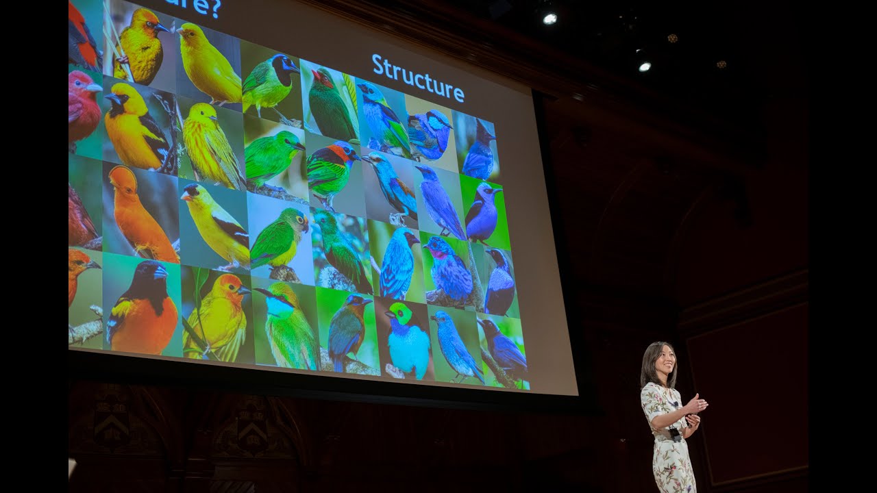 Full Symposium | Harvard Horizons 2019