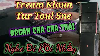 Video thumbnail of "Nhạc Khmer_Tream Kloun Tur Toul Sne (ត្រៀមខ្លួនទទួលស្នេហ៍).Cha Cha Thái Cực Sung.Music Song TikTok."