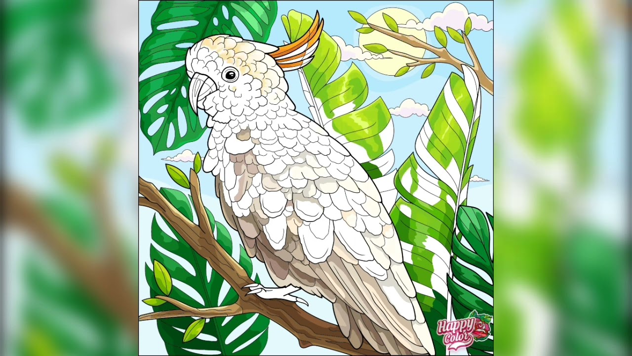 birds picture colour fill // happy colour 