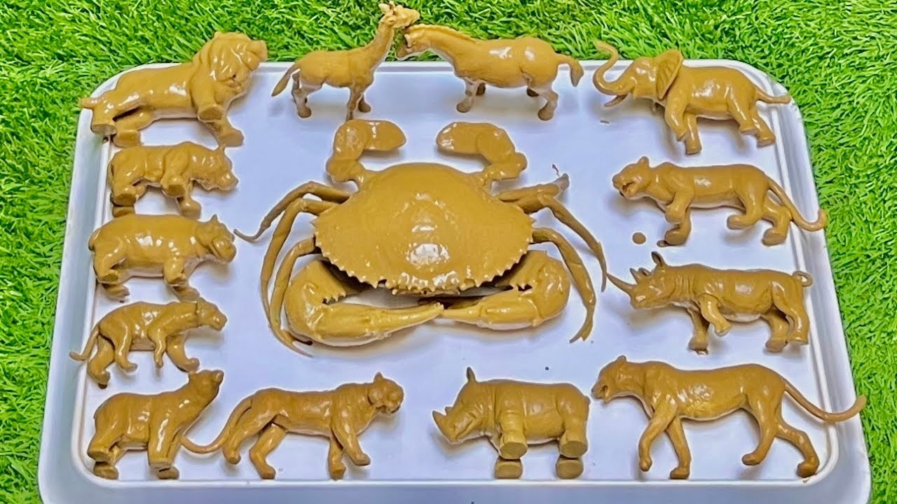 A Wild Jungle Adventure: Meeting the Giant Crab and Amazing Wild Animals for Kids