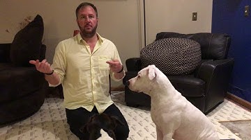 Stopping Bones Barking Through Counterconditioning