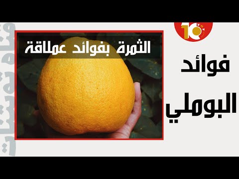 فوائد البوملي فاكهة البوملي اكثر الفواكة المفيدة خاصة قشور البوملي صحه الجسم فوائد