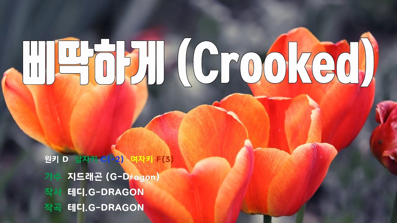 [은성반주기] 삐딱하게(Crooked) - 지드래곤(G-Dragon) /MR/가사
